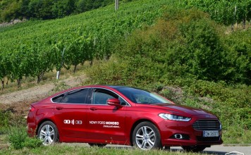 Wino – FORD – Motorsport